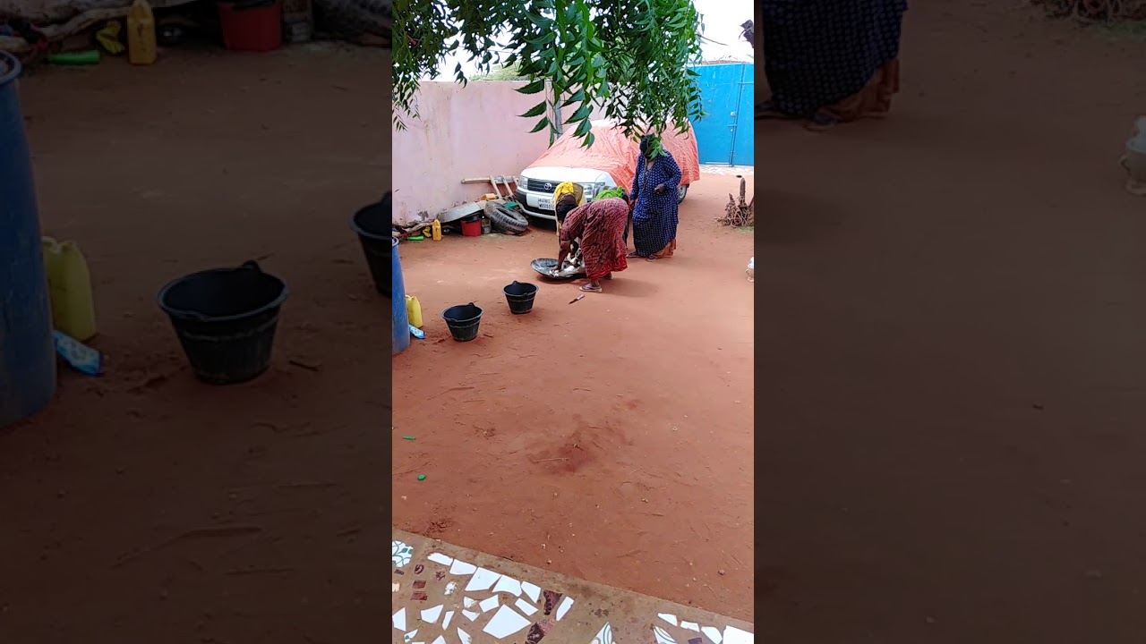 Goat killed for food youtube