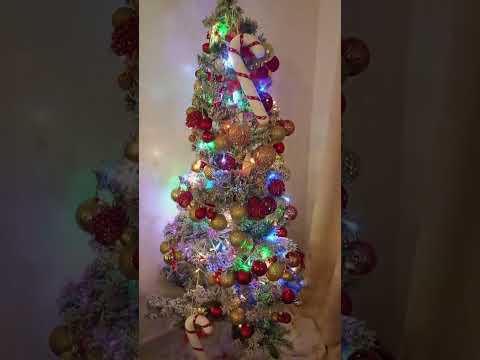 Merry Christmas 2024 Merrychristmas December Beautiful Shorts 