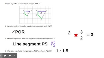 Solution for Student Problem with Scale Lesson 2 - Google Slides