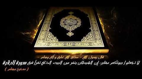 سورة البقرة بصوت القارئ كمال المروش عن قالون عن نافع