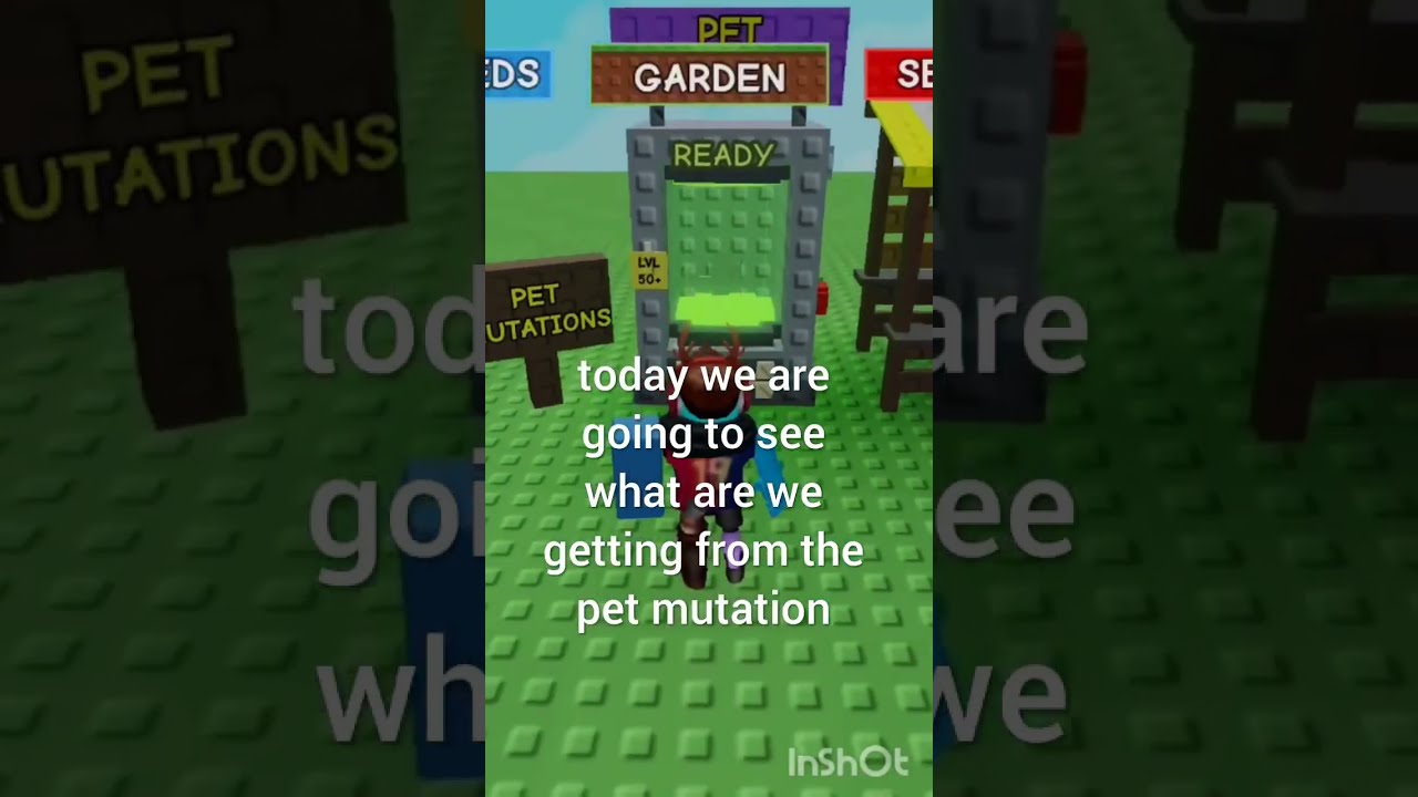 OMG WE GOT 