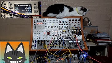 toolbox 1010 Eurorack module sequence - feline furniture