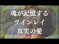 性欲や依存心を超越【ツインレイ】真実の愛