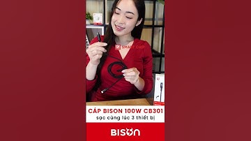Cáp sạc Bison 3in1, 100W (Model: S-CB301)