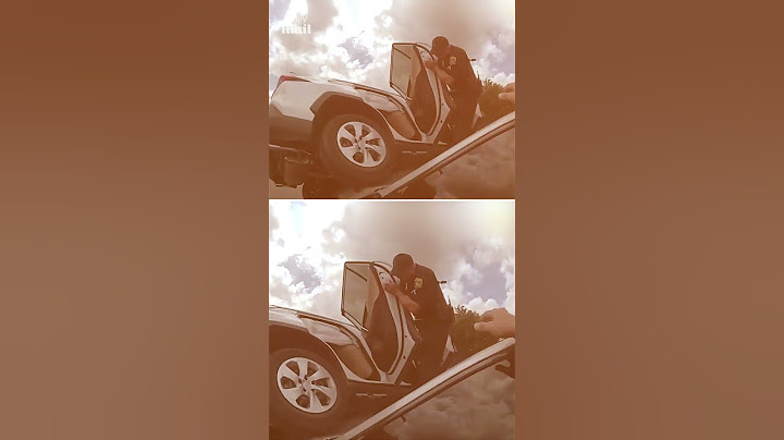 Cops save adult and child in a flipped over car