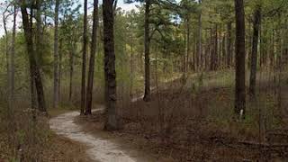 Weymouth Woods-Sandhills Nature Preserve | Wikipedia audio article