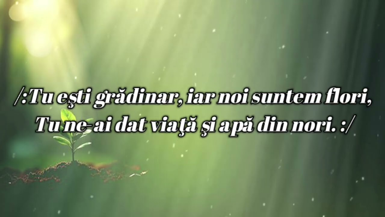  NEGATIV - Am Un Grădinar În Cer ( Emanuel Negative ) 