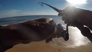 Catching trout of the beach(Flagler beach,FL)