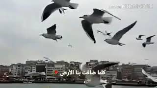 لو نستطيع أن نهاجر عن أحزاننا كما تهاجر الطيور نقسم بأننا لن نعود ابدا ..?