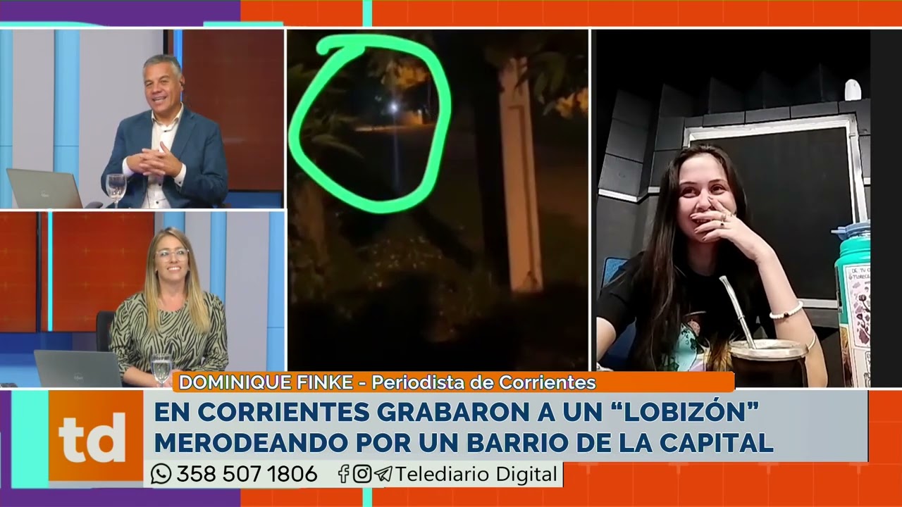 APARECIÓ UN LOBIZÓN EN UN BARRIO DE CORRIENTES? - Estación FM : TV ::  Somos el Norte