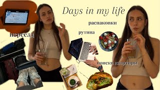 картинка: vlog: переезд, поиски квартиры, распаковки dji mic mini & shein 