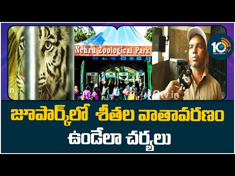 Nehru Zoological Park Hyderabad  | జూపార్క్‎లో  శీతల వాతావరణం ఉండేలా చర్యలు | 10TVNews - 10TVNEWSTELUGU