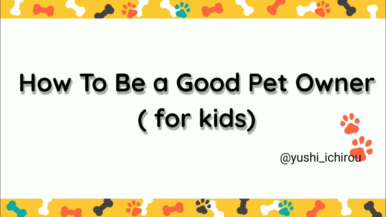 How to be a good pet owner I for kids I simple animation YouTube