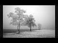 Josh Gabriel pres. Winter Kills - Deep Down (Alex M.O.R.P.H. Remix)