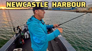 Fishing the Harbour an River for a feed !!