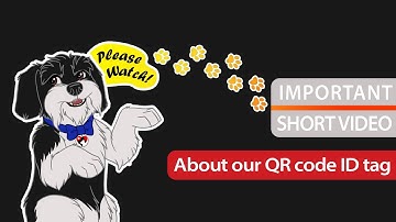 QR Code Pet ID Tag for Lost Pet Safety  - My Pet