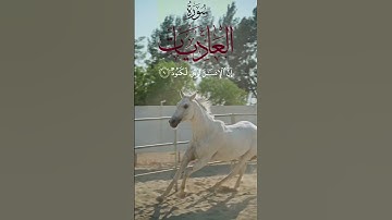 سورة #العاديات الشيخ #خالد_عبدالرحمن الشنو #رمضان #التراويح #قران #خالد_الشنو #CapCut  #quran