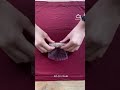 Des nems express en 15 minutes chrono ! À tester absolument 🤤👇