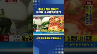 Food Safety Crisis! Chinese Cabbage Found Coated in Formaldehyde, South Korea Alarmed: 99% of Kim...
