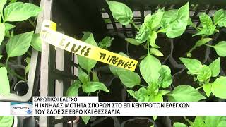 Σαρωτικοί έλεγχοι ιχνηλασιμότητας σπόρων σε Έβρο και Θεσσαλία από τον ΣΔΟΕ