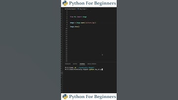 How To Open An Image With Python | Python For Beginners