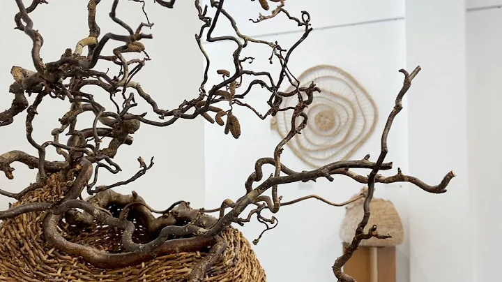 gallery 76
