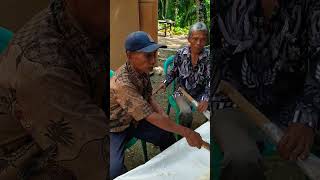 Pekerjaan Para Orang Tua Ditempat Hajatan shorts shorts