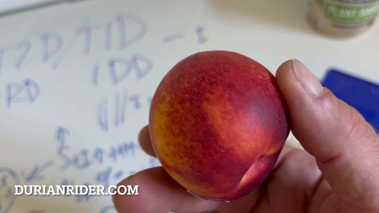 How A Vegan Diet Causes Diabetes