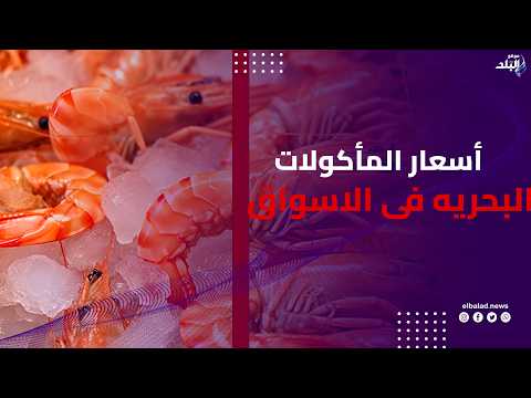 جمبرى جامبو وبلطي وبورى .. شوف أسعار السمك اليوم بالأسواق