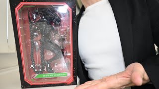 映画の感想とか】NECA/エイリアンロムルス/スコーチドゼノモーフ