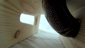 Snake Shedding Problems solved with the Shedding Shed