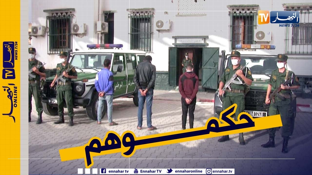 المسيلة: مصالح الدرك الوطني تلقي القبض على العصابة التي ذبحت 58 رأسا من الغنم في أعالي جبال الدريعات
