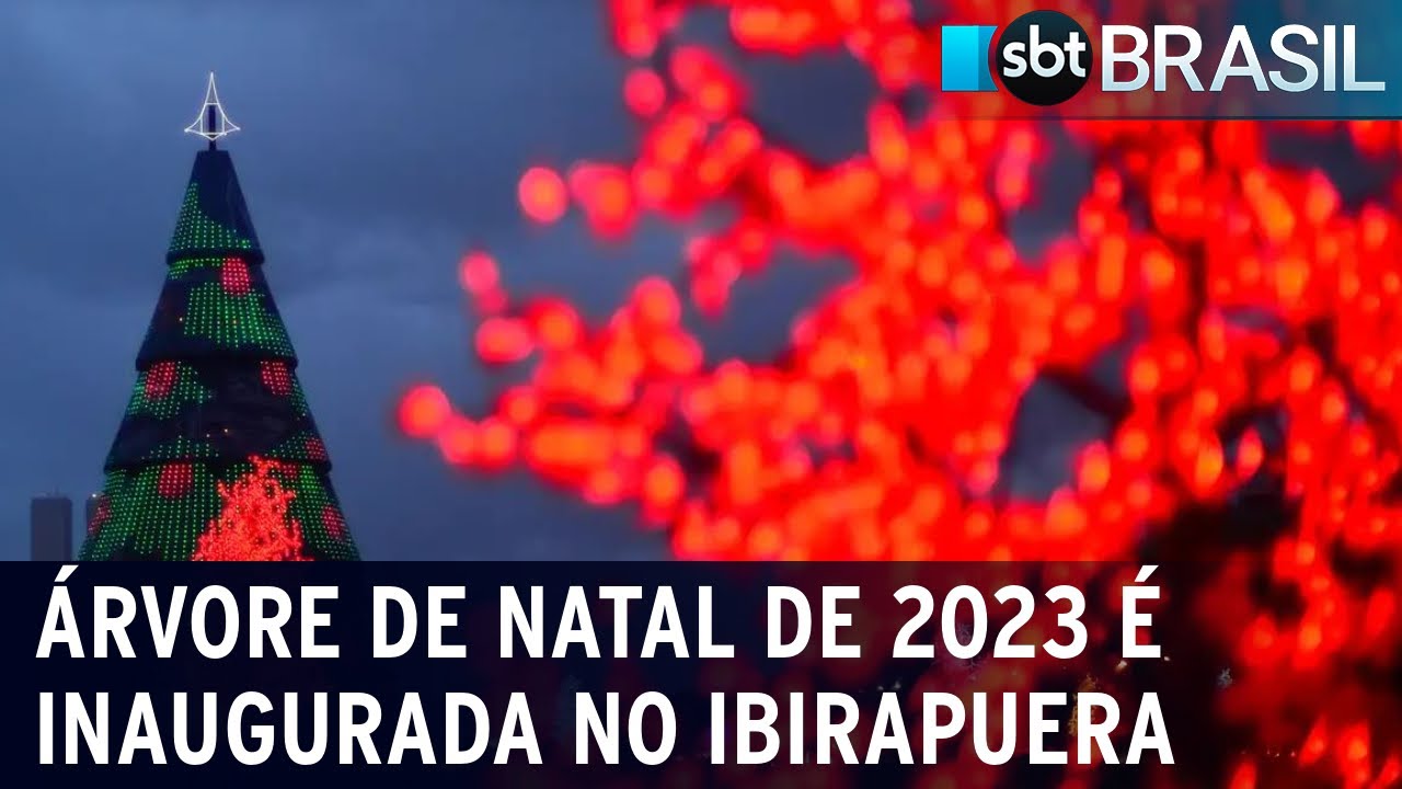 Árvore de Natal de 2023 é inaugurada no Ibirapuera | SBT Brasil (02/12/23)