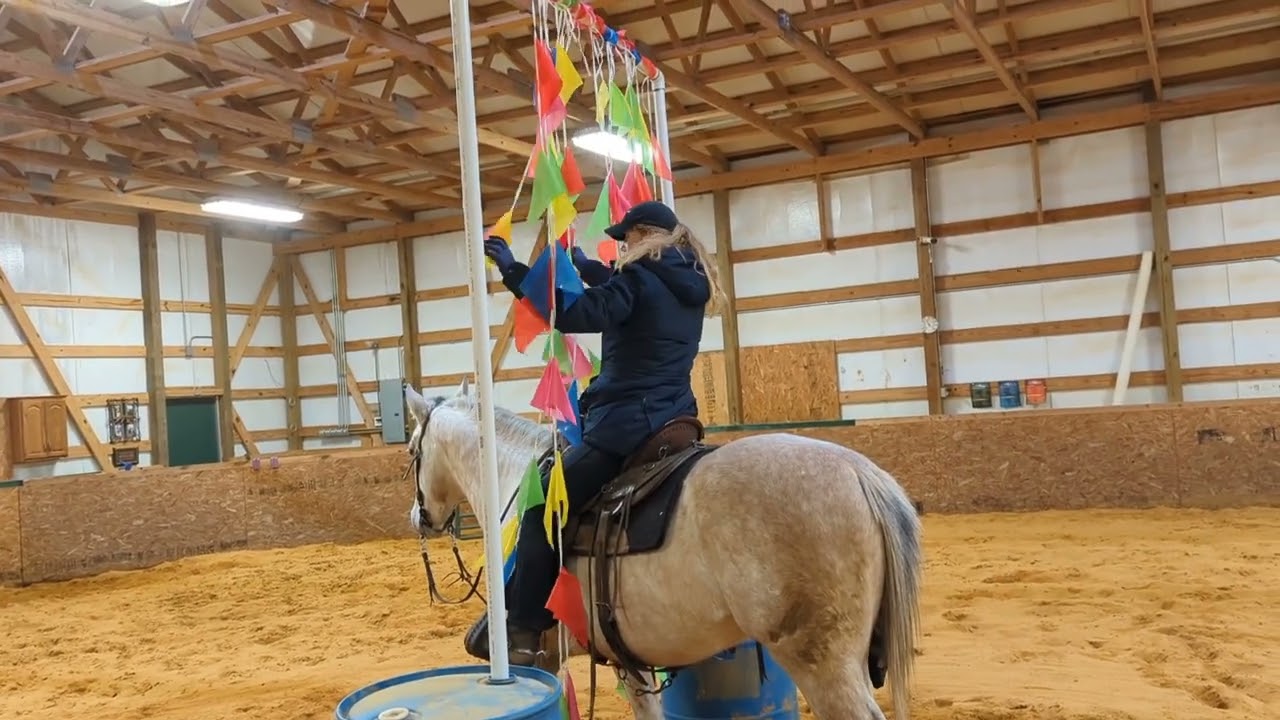 Digger at the playday. Ultimate Trail Horse.