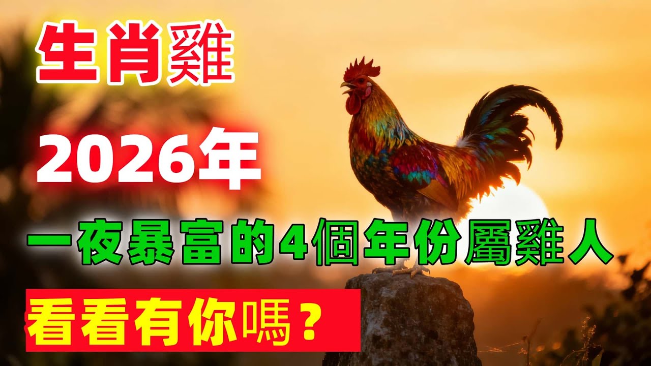 生肖雞：2026年，一夜暴富的4個年份屬雞人！看看有你嗎？ | 生肖吉語 | 生肖雞 | 1981年屬雞人 | 2026丙午年運勢 | 馬年 雞 運程  | 林老師命理