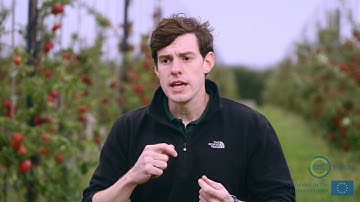 A Day In The Life -  Operations Director