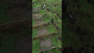 Hill climb activities #coast #explore #travel #nature #cornwall