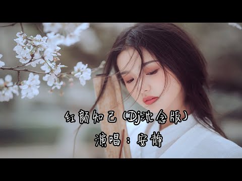 红颜知己 Dj沈念版   安静『如果今生做不了你的唯一 就让我在来生的路口等你』