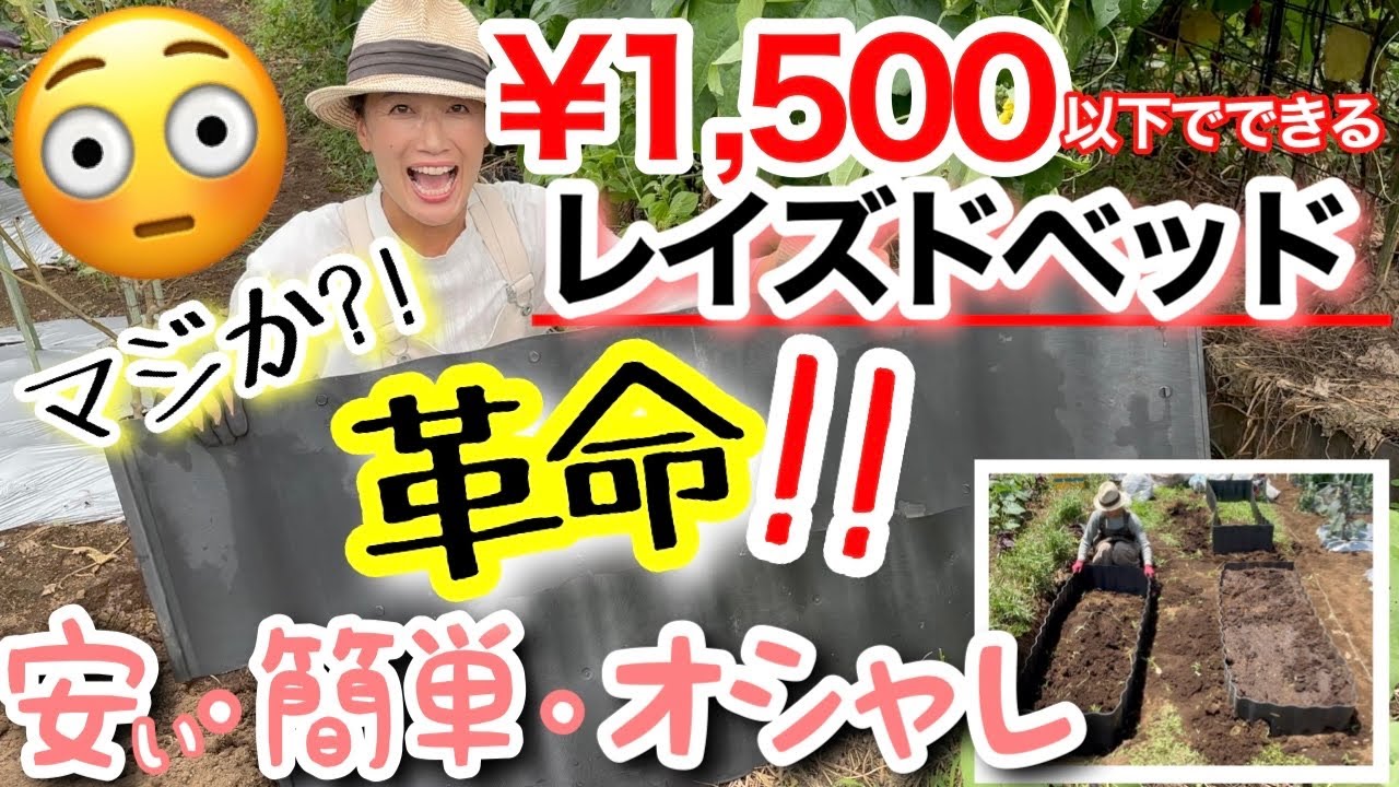 【驚愕‼️1,500円以下で完成】ホームセンターの「〇〇」で作る！安い・おしゃれ・簡単なレイズドベッドの作り方/ 組み立ては15分もあれば余裕で完成✨/ 使ってみた使用感も正直レビュー【ガーデニング】