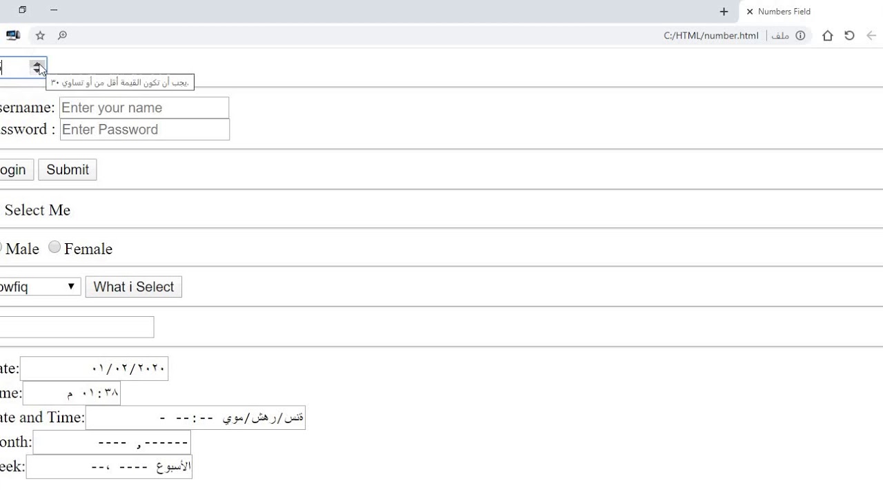 25 HTML Number Field حقل الارقام - YouTube