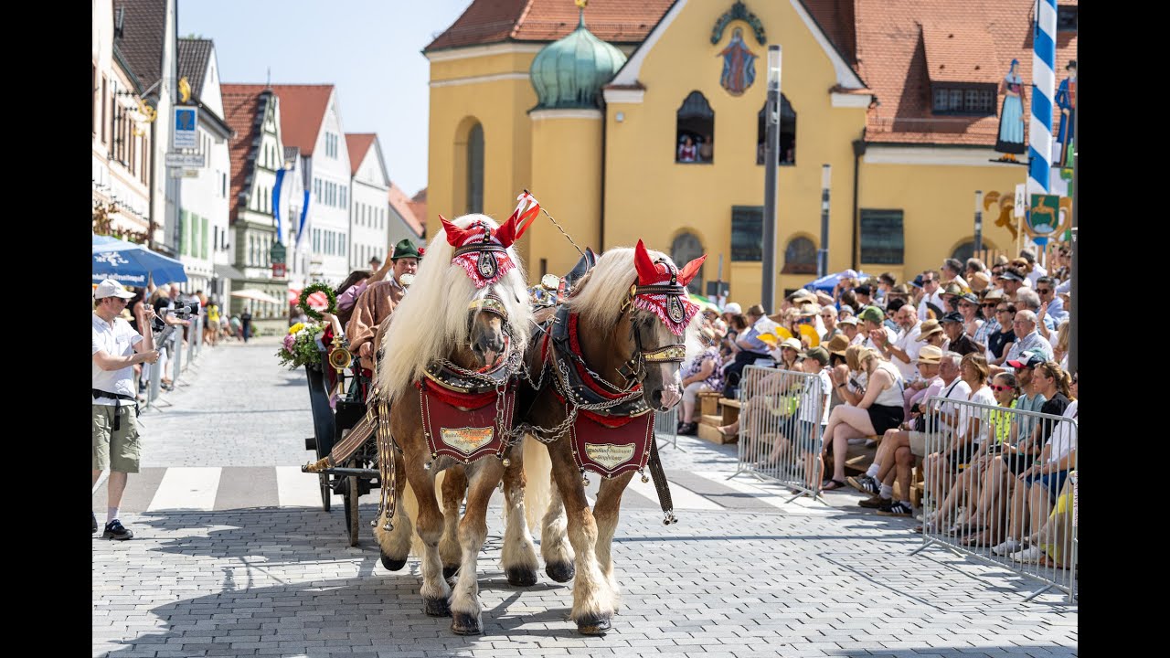 Historischer Umzug in Wolnzach 2025 (Version 