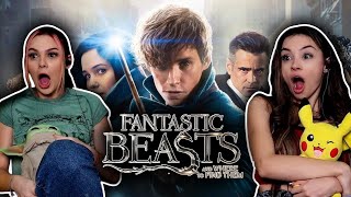Finally Watching Fantastic Beasts and Where To Find Them! **Commentary/Reaction**