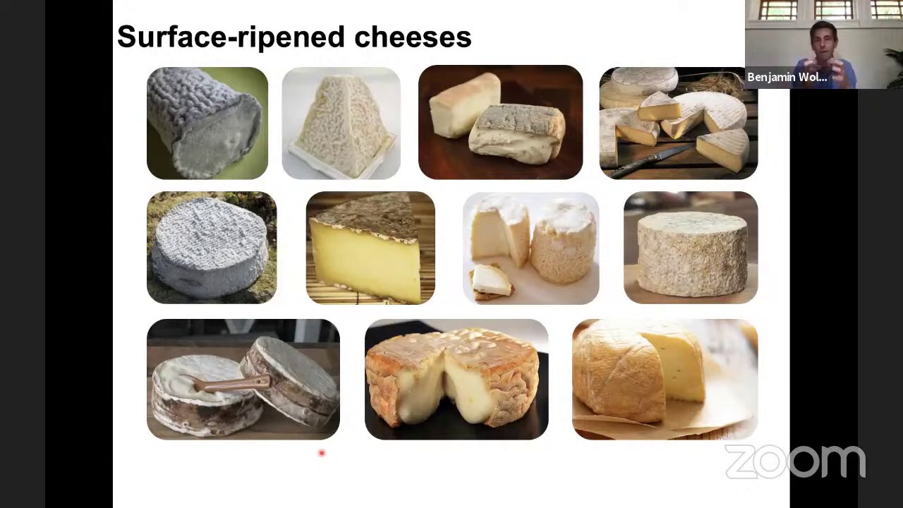 Microbial War and Peace in Cheese Rind Microbiomes | Fermentology mini ...
