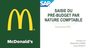 SAP - KPF6 - Saisie du pré-budget par nature comptable