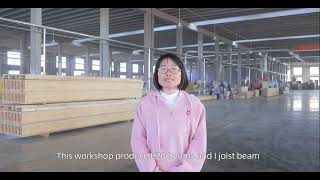 2023 FUSHI WOOD LVL laminated veneer lumber  AND H20 BEAMS Factory ,plywood ,i joist,mdf, Laminated Veneer Lumber Lvl Scaffolding Board 38mm X 225mm X 3980mm Scaffolding Oshaboard