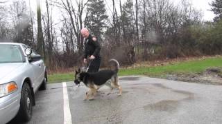 Aurora Police Department and K 9 Nero