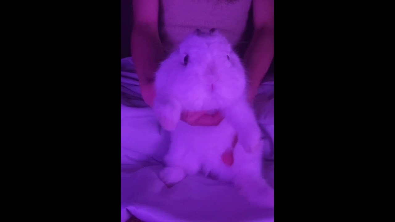 Can Xiaotuji join the group broadcast Joyy-x