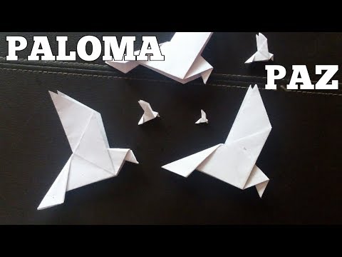 Paloma De La Paz Origami