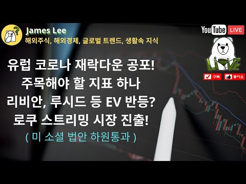 유럽 코로나 재확산 공포, EV 섹터 주가의 반등일까? 로쿠 스트리밍 시장 진출 (ft 소셜법안 하원통과)