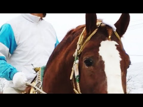 【ばんえい】ばんえい記念2021 本馬場入場